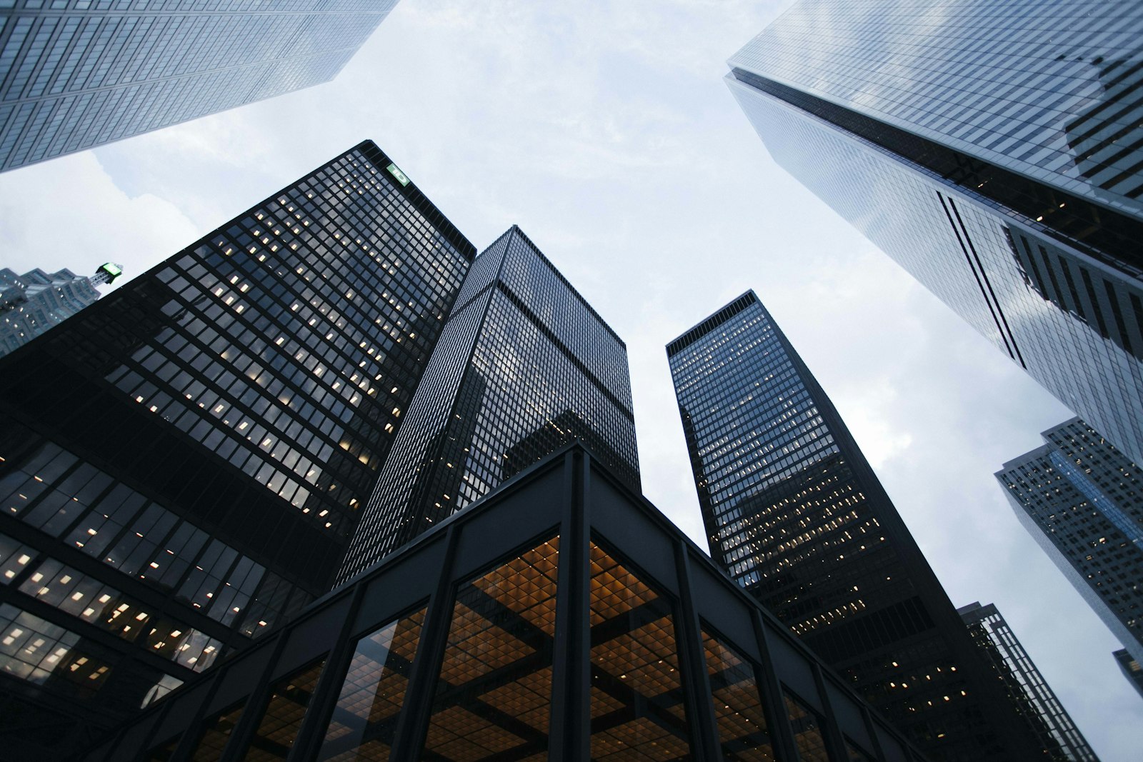 Downtown towers in cool light