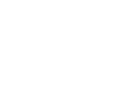 Hair Boss